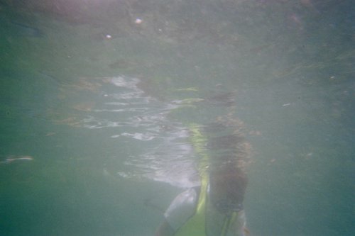 IMG011A.JPG