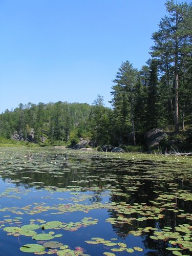 BWCA05 071.jpg
