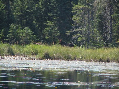 BWCA05 080.jpg