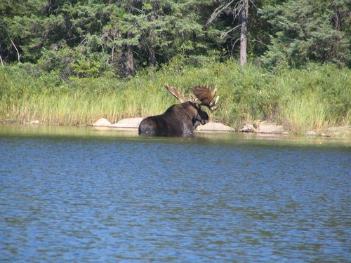 BWCA05 085.jpg