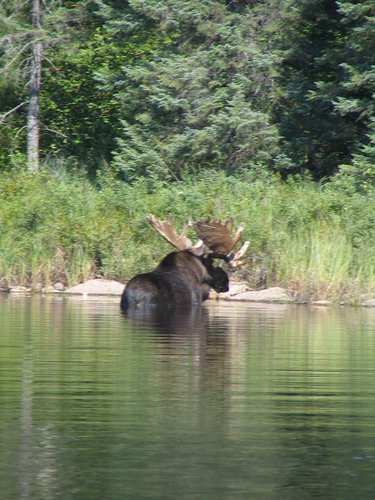 BWCA05 086.jpg