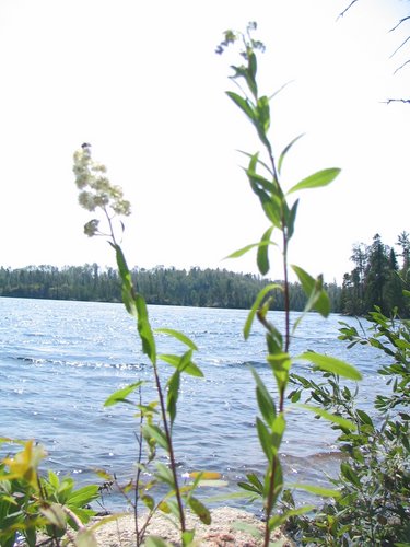 BWCA05 103.jpg