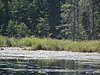 BWCA05 080.jpg