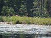 BWCA05 081.jpg