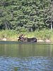 BWCA05 083.jpg