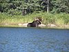 BWCA05 085.jpg
