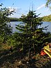 BWCA05 148.jpg